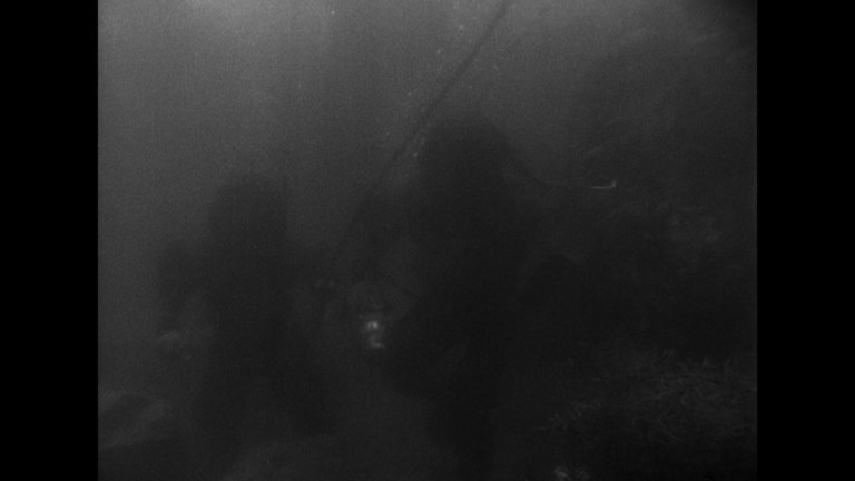 Screen capture from Godzilla