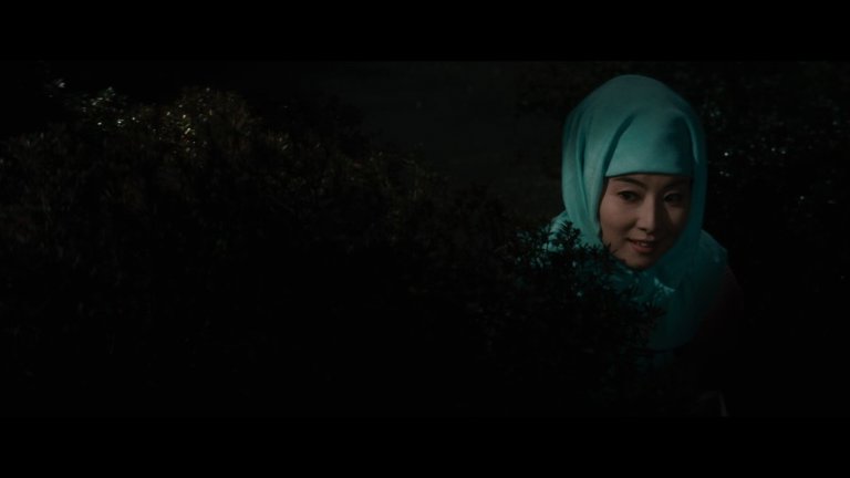 Screen capture from An Actor's Revenge