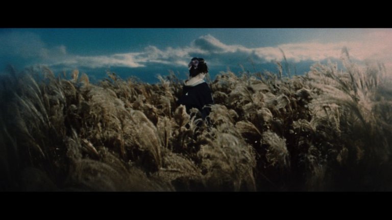 Screen capture from An Actor's Revenge