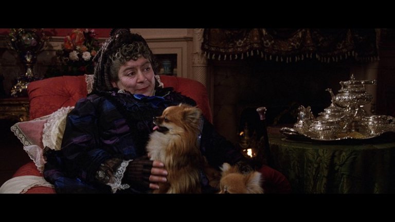 Screen capture from The Age of Innocence