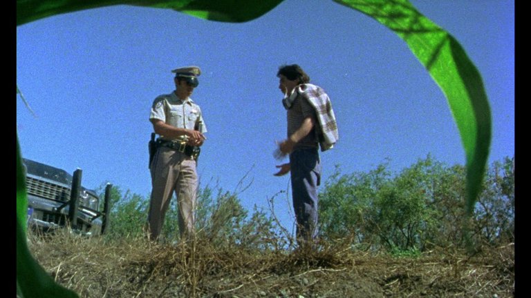 Screen capture from ¡Alambrista!