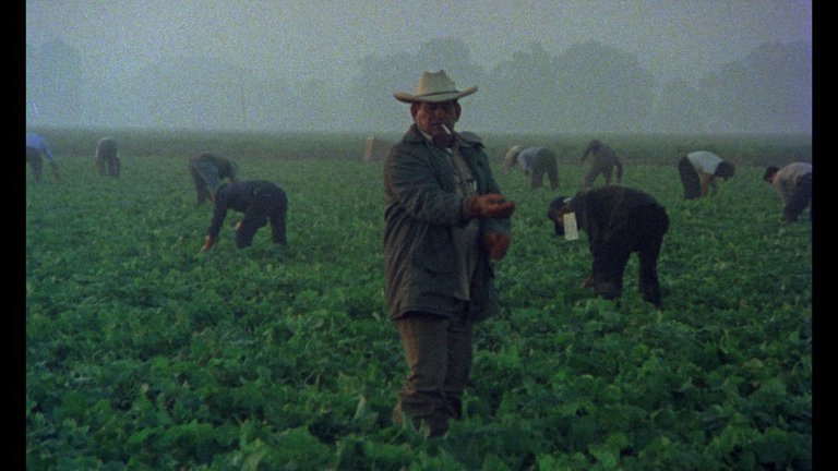 Screen capture from ¡Alambrista!