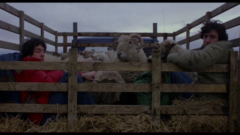 Screen capture from An American Werewolf in London
