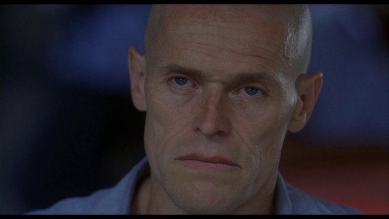 Screen capture from Animal Factory