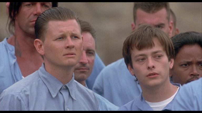 Screen capture from Animal Factory