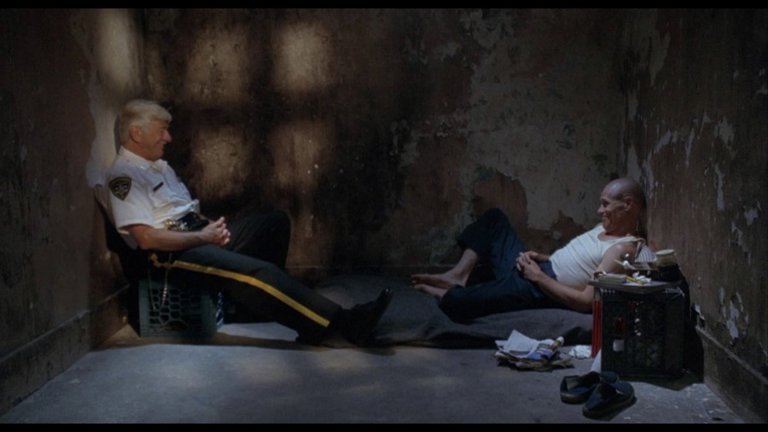 Screen capture from Animal Factory