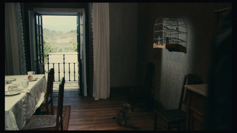 Screen capture from The Strange Case of Angelica
