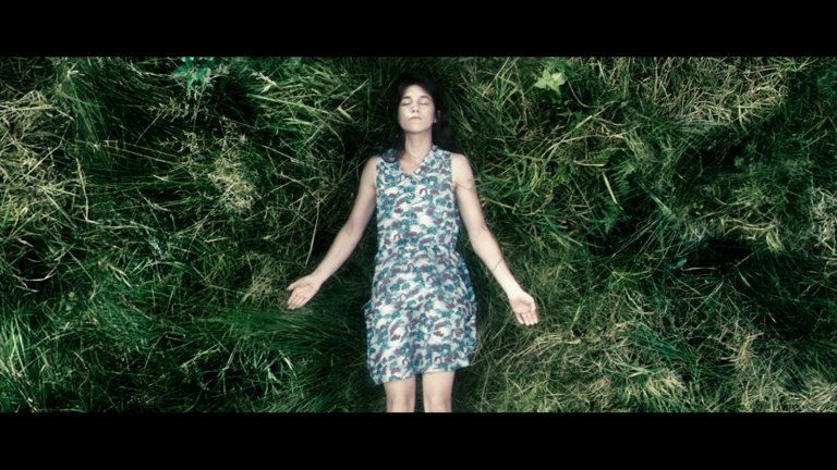 Screen capture from Antichrist