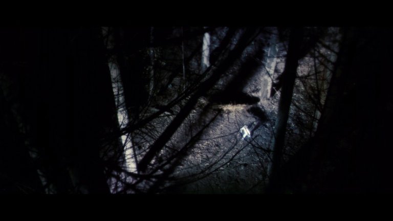 Screen capture from Antichrist