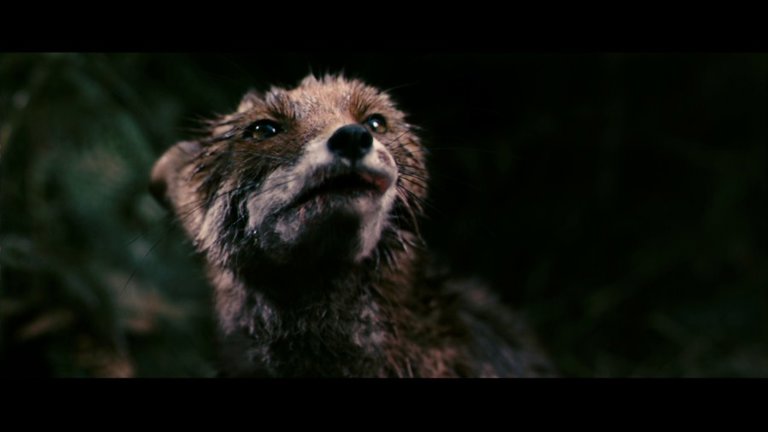 Screen capture from Antichrist