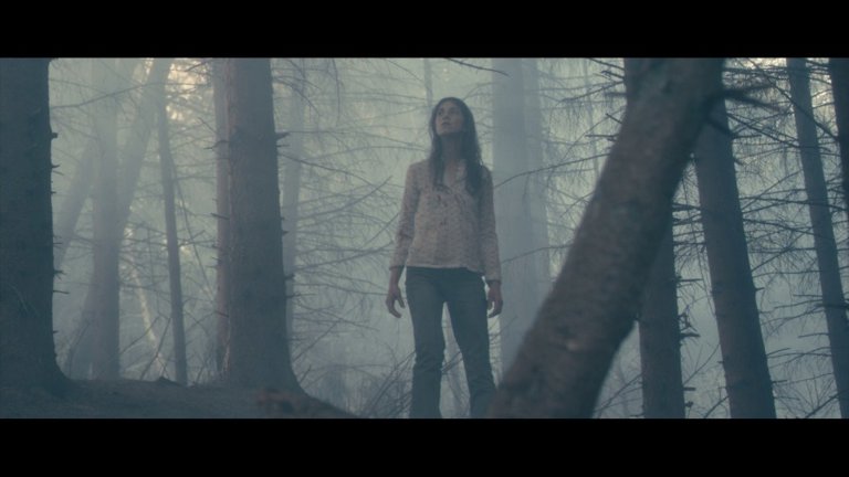 Screen capture from Antichrist