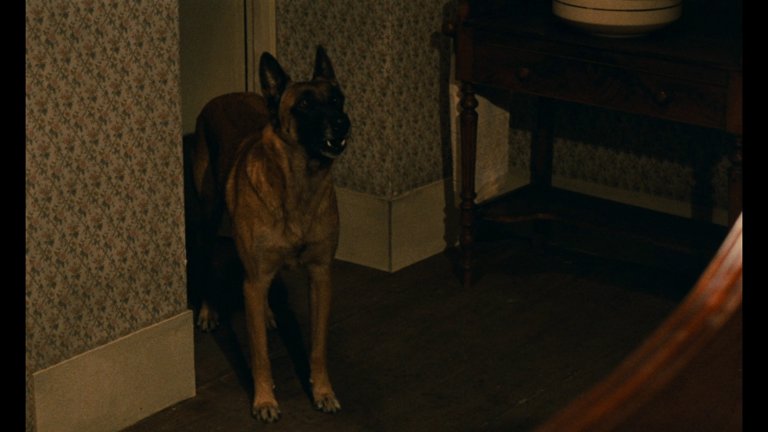 Screen capture from L’argent
