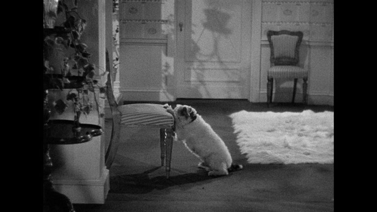 Screen capture from The Awful Truth