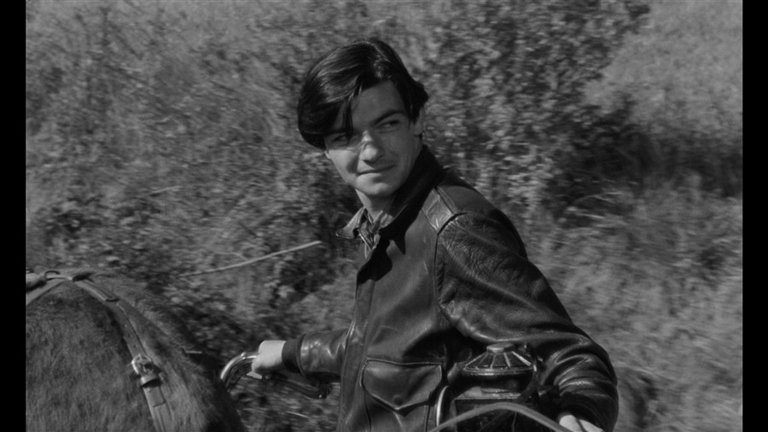 Screen capture from Au hasard Balthazar
