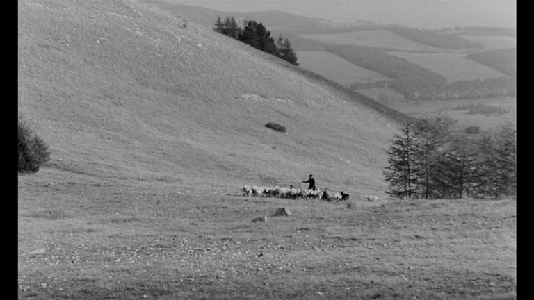 Screen capture from Au hasard Balthazar