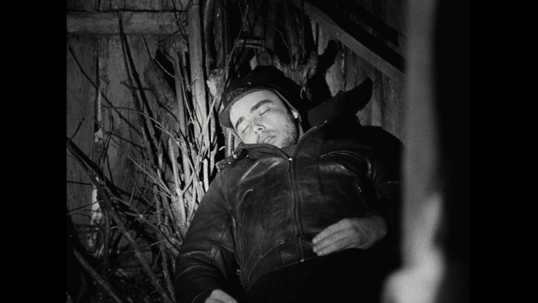 Screen capture from Le beau Serge