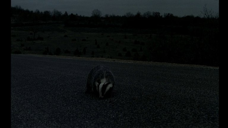 Screen capture from Black Moon