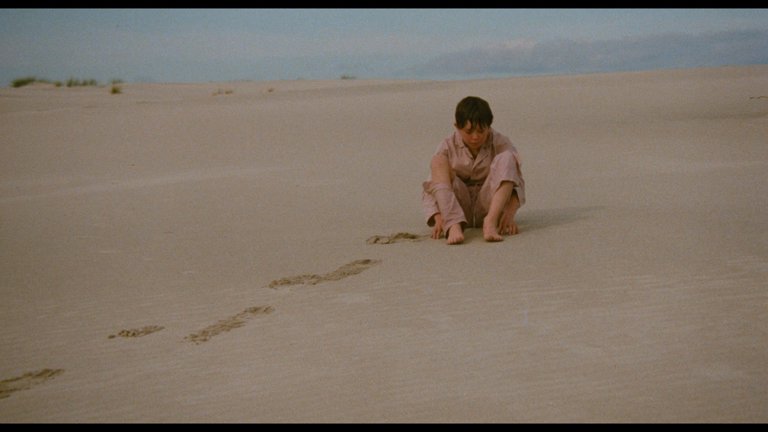 Screen capture from The Black Stallion