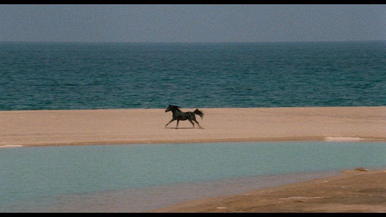 Screen capture from The Black Stallion