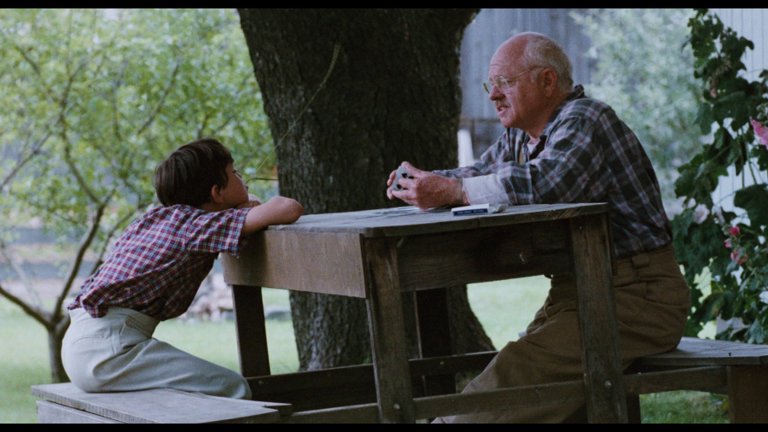 Screen capture from The Black Stallion