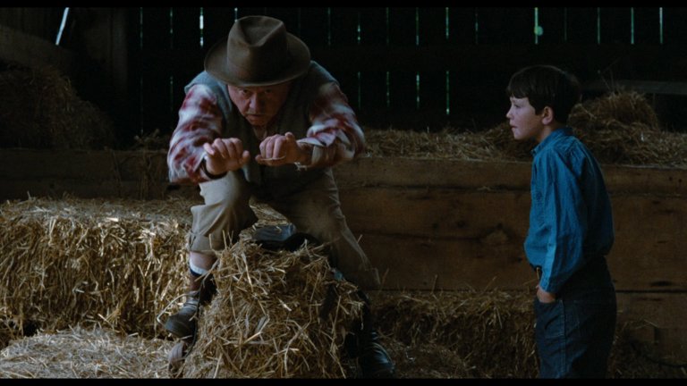 Screen capture from The Black Stallion