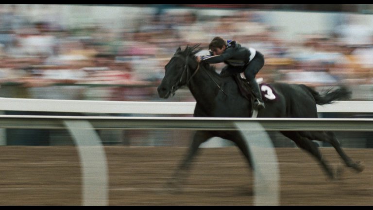 Screen capture from The Black Stallion