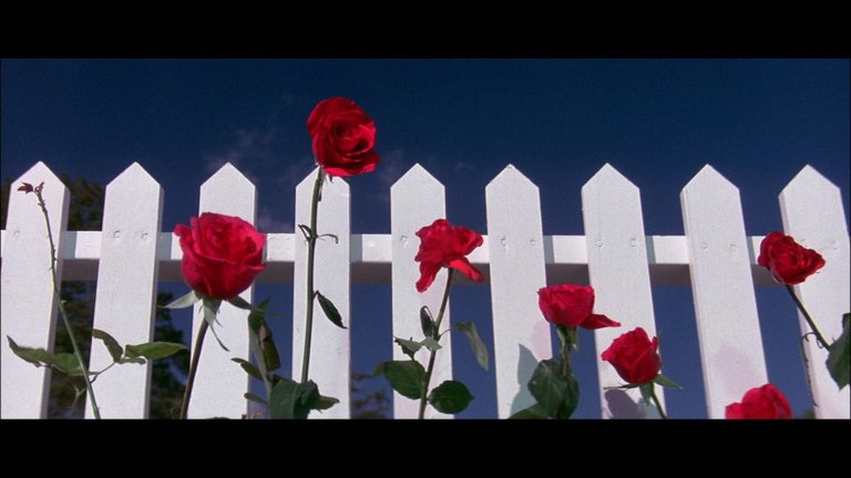 Screen capture from Blue Velvet