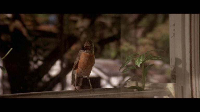 Screen capture from Blue Velvet