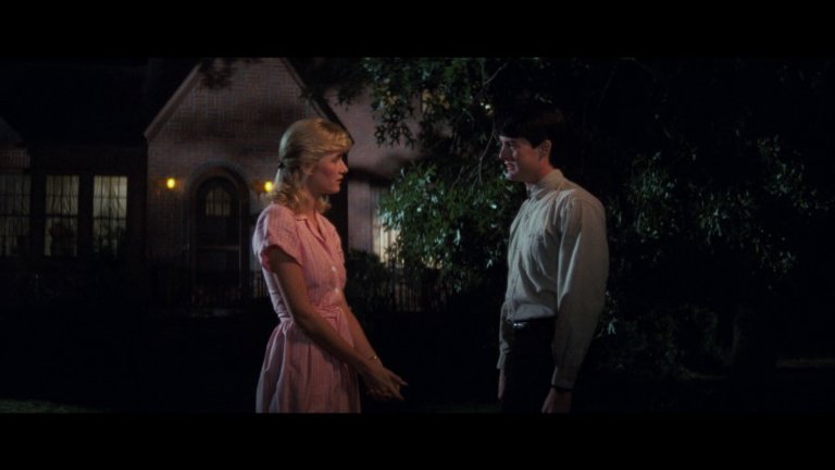 Screen capture from Blue Velvet