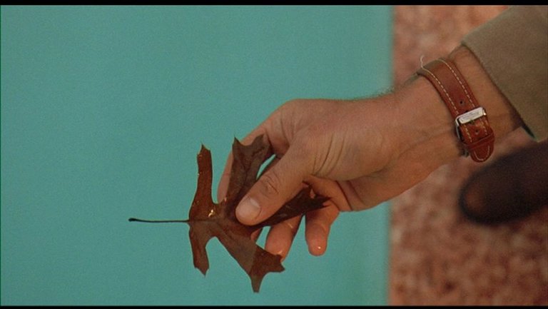 Screen capture from Bottle Rocket