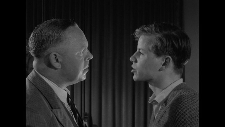 Screen capture from The Bridge