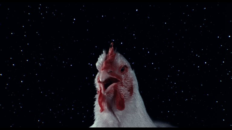 Screen capture from A Brief History of Time
