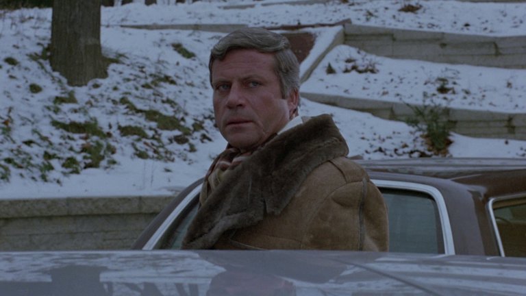 Screen capture from The Brood