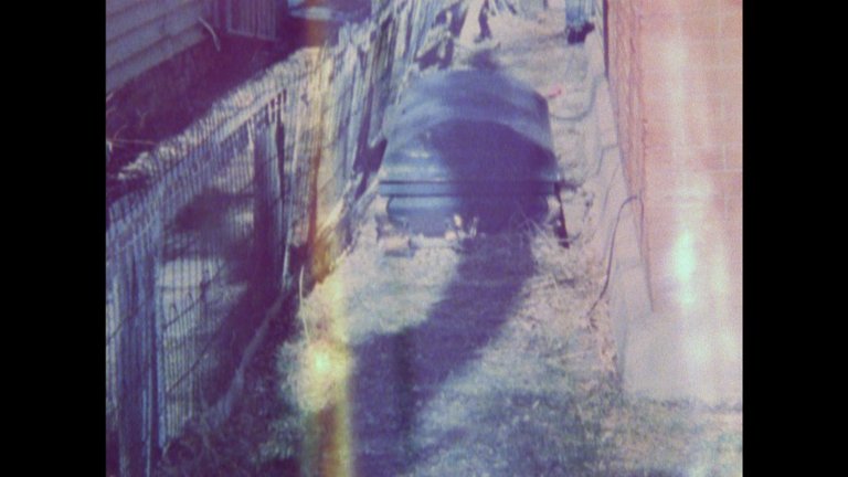 Screen capture from By Brakhage: An Anthology, Volumes One and Two