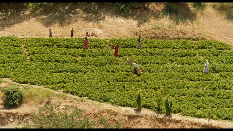 Screen capture from The Wind Will Carry Us