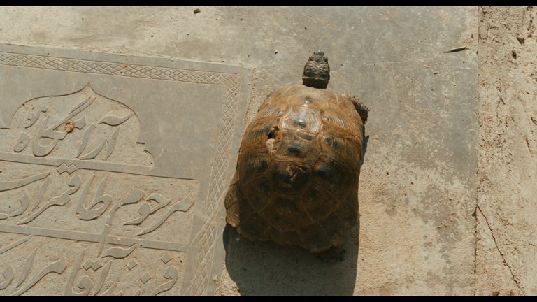 Screen capture from The Wind Will Carry Us