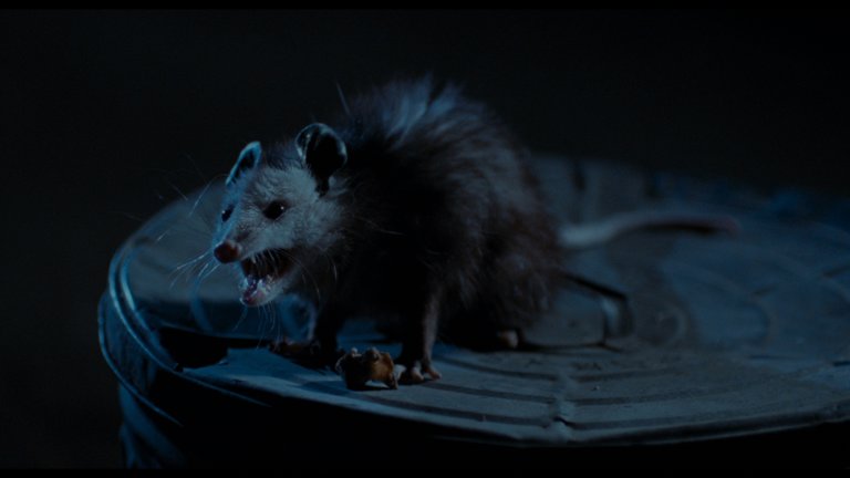 Screen capture from House Party