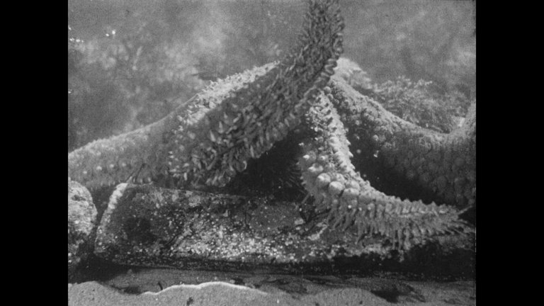 Screen capture from Return to Reason: Four Films by Man Ray