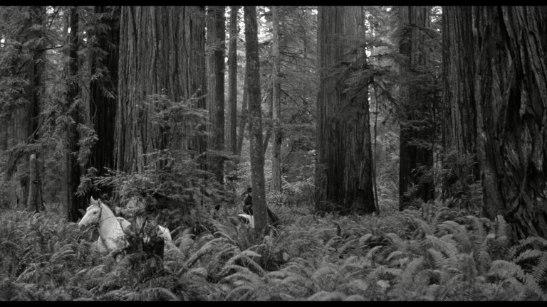 Screen capture from Dead Man