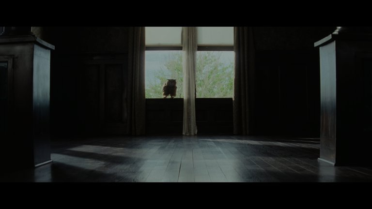 Screen capture from Killers of the Flower Moon