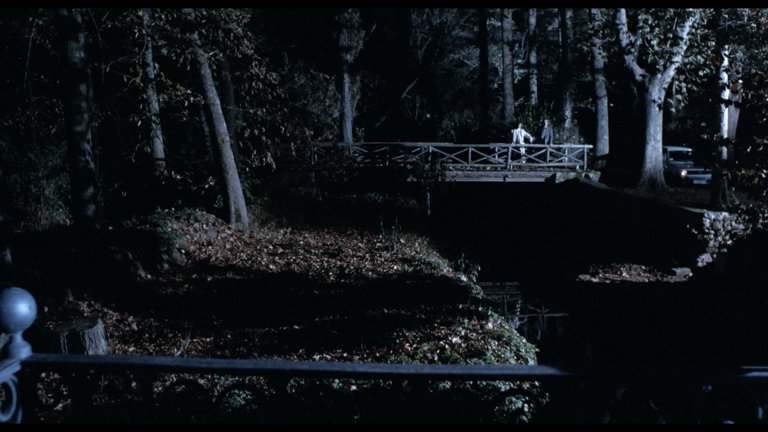 Screen capture from Matador