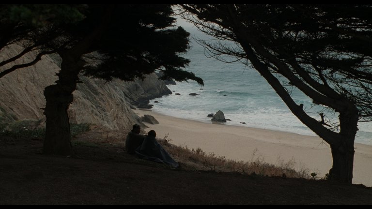 Screen capture from John Singleton's Hood Trilogy