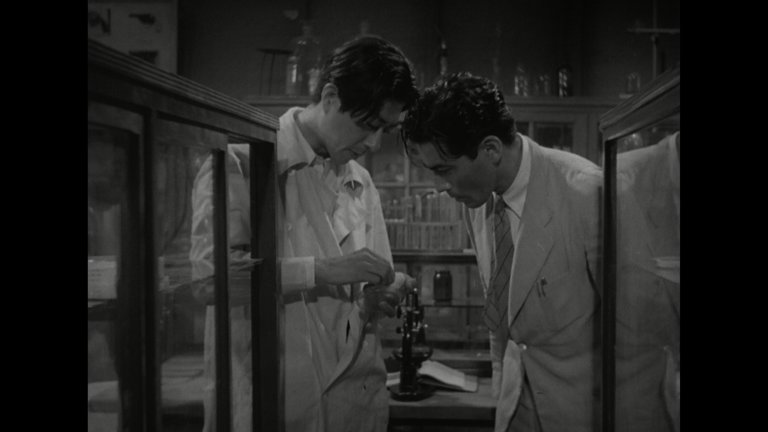 Screen capture from Stray Dog