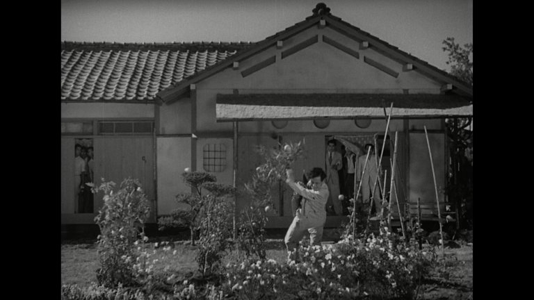 Screen capture from Stray Dog
