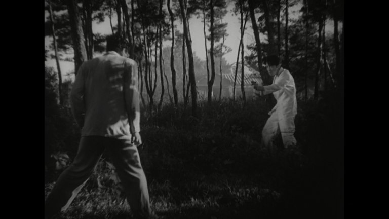 Screen capture from Stray Dog