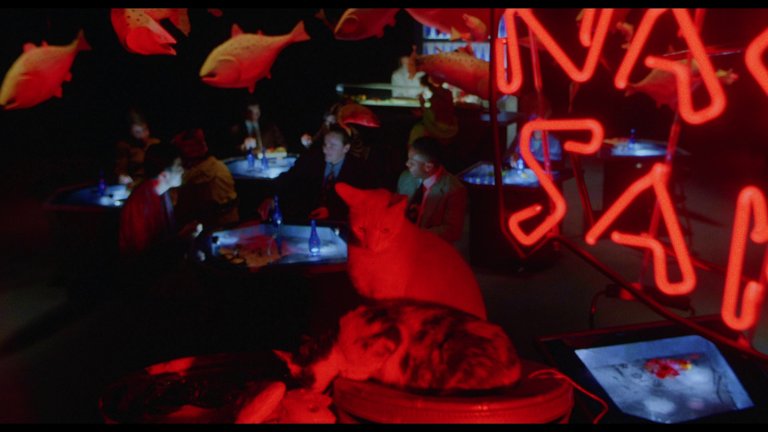 Screen capture from Fresh Kill