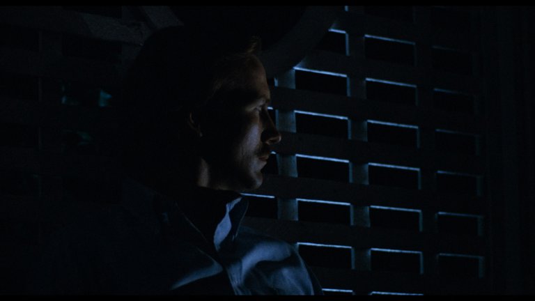 Screen capture from Body Heat