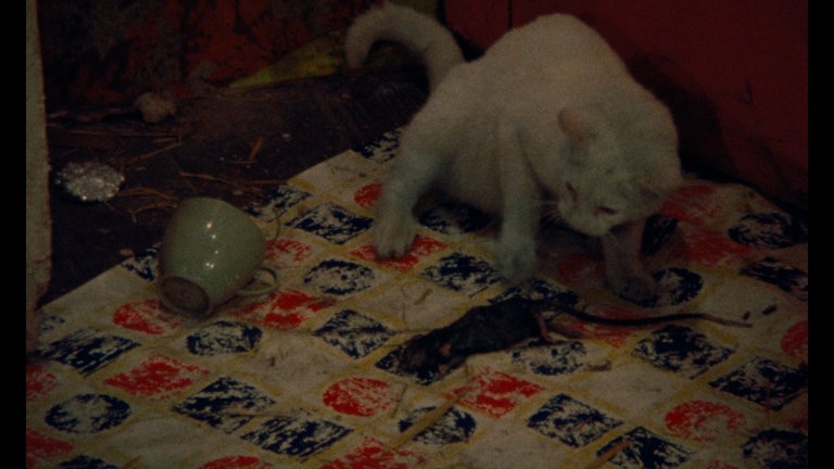 Screen capture from Desperate Living