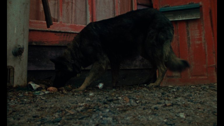 Screen capture from Desperate Living