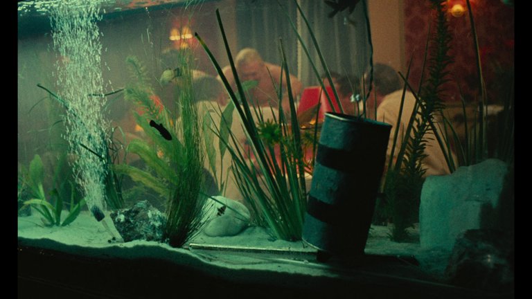 Screen capture from Solo